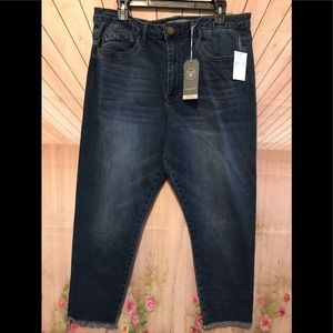 New! Wit & Wisdom High Rise Seamless Ankle Skimmer